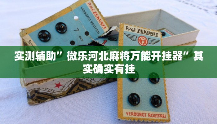 实测辅助”微乐河北麻将万能开挂器”其实确实有挂