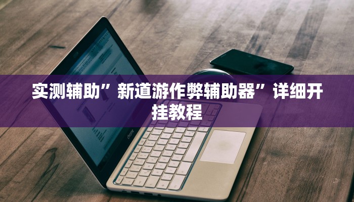 实测辅助”新道游作弊辅助器”详细开挂教程