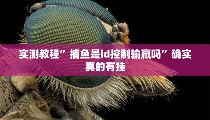 实测教程”捕鱼是id控制输赢吗”确实真的有挂