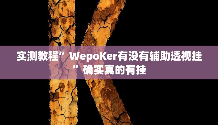 实测教程”WepoKer有没有辅助透视挂”确实真的有挂