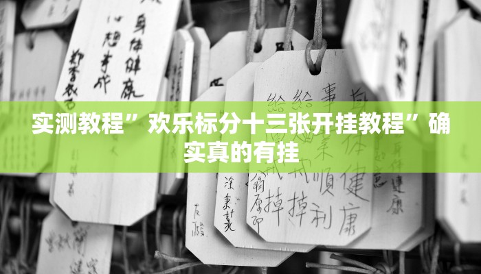 实测教程”欢乐标分十三张开挂教程”确实真的有挂