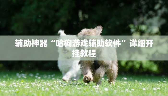 实测教程”wepoker作弊辅助开挂工具”确实真的有挂
