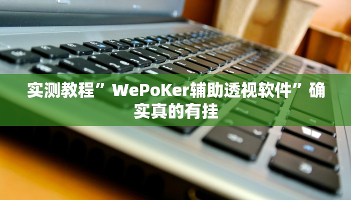 实测教程”WePoKer辅助透视软件”确实真的有挂