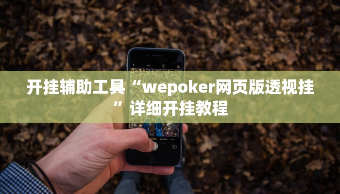 开挂辅助工具“wepoker网页版透视挂”详细开挂教程