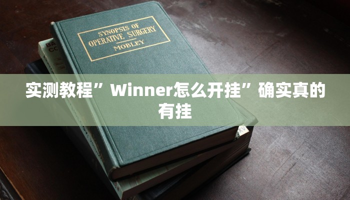 实测教程”Winner怎么开挂”确实真的有挂