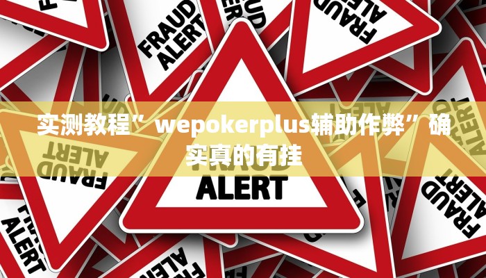 实测教程”wepokerplus辅助作弊”确实真的有挂
