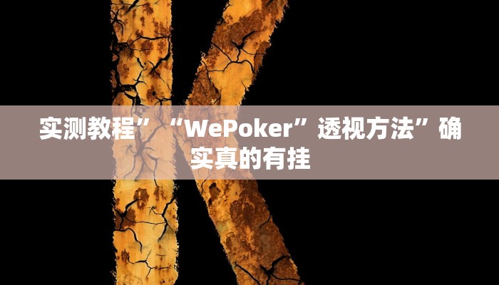 实测教程”“WePoker”透视方法”确实真的有挂