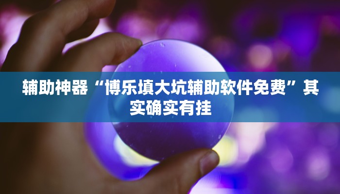 辅助神器“博乐填大坑辅助软件免费”其实确实有挂