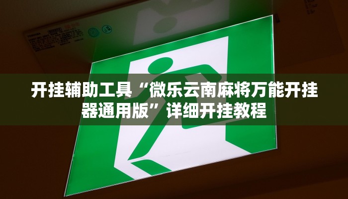 开挂辅助工具“微乐云南麻将万能开挂器通用版”详细开挂教程