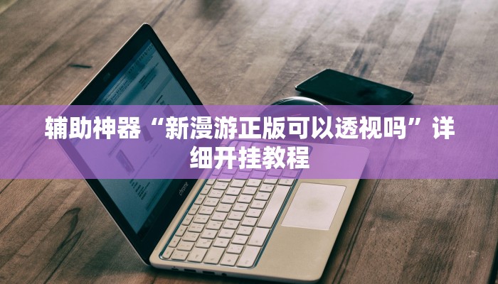 辅助神器“新漫游正版可以透视吗”详细开挂教程