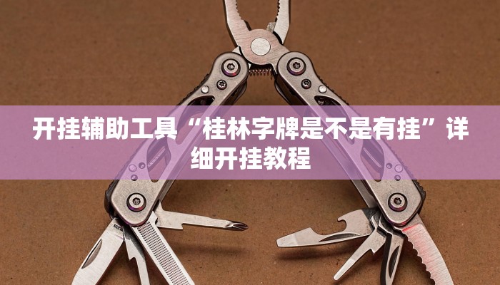 开挂辅助工具“桂林字牌是不是有挂”详细开挂教程